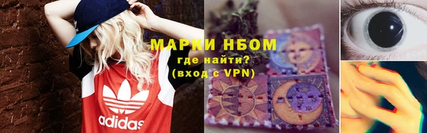молекула духа Ладушкин