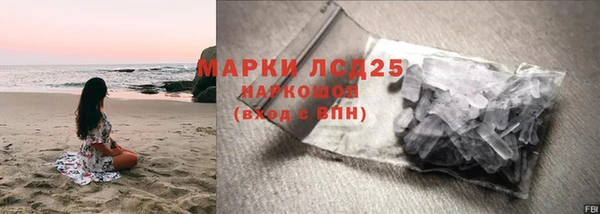 прущие грибы Липки