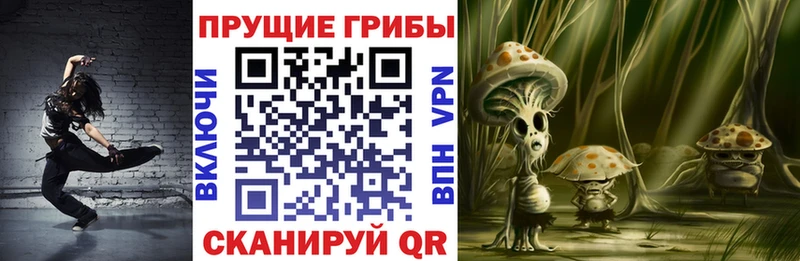 где продают наркотики  Микунь  Псилоцибиновые грибы Psilocybe 
